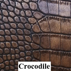 Crocodile Belly