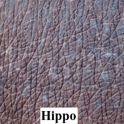 Hippo