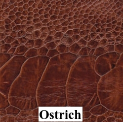 Smooth Ostrich