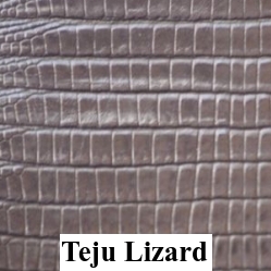 Teju Lizard